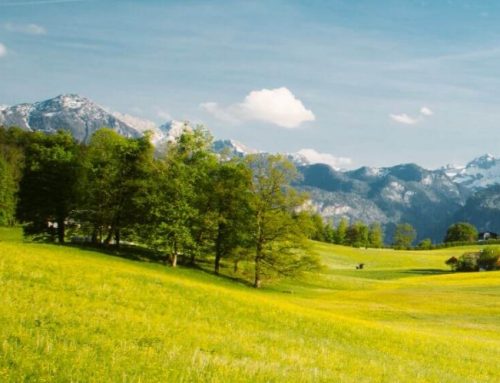 Nachhaltigkeit neu gedacht: Verpackungsmaschinen als Schlüsseltechnologie